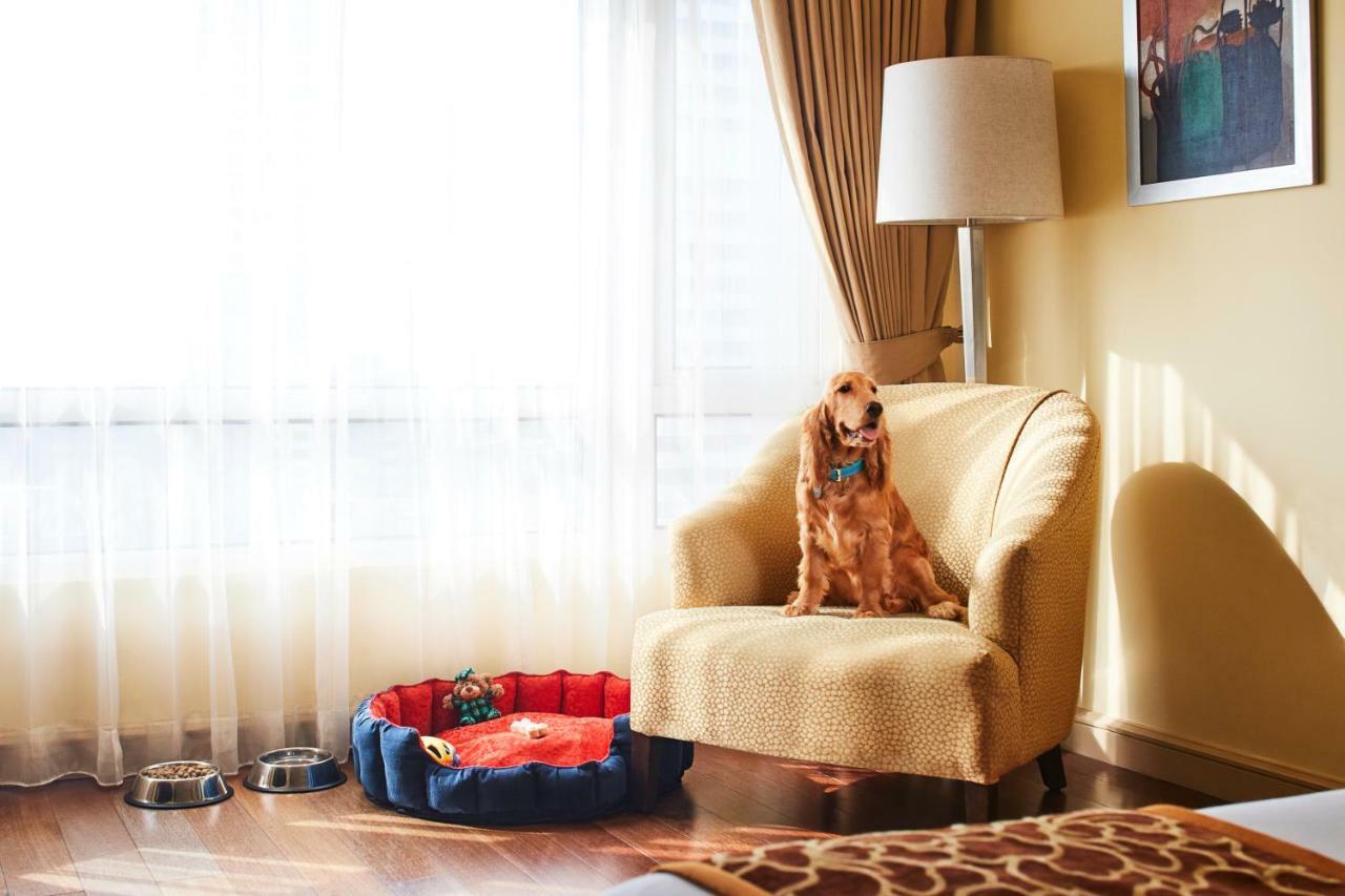 Hotel President - Ihcl Seleqtions Mumbai Exterior foto A dog in a hotel room